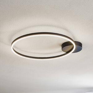 Fabas Luce LED mennyezeti lámpa Giotto 1 égős, fekete, dimmelhető, Fekete, Nappali / Étkező, fém, Modern