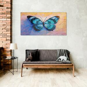 Üvegkép Butterfly rovarok színes