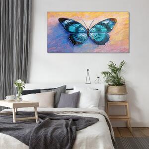 Üvegkép Butterfly rovarok színes