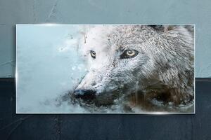 Üvegkép Vadon élő farkas