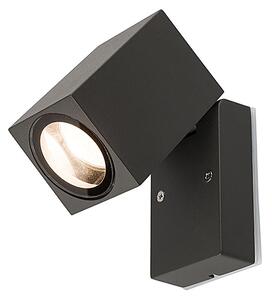 Primm kültéri fali spotlámpa