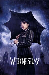 Plakát Wednesday - Umbrella, (61 x 91.5 cm)