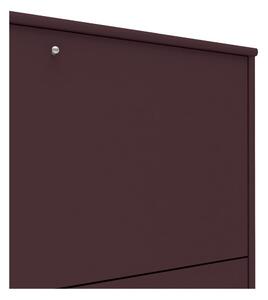 Piros bortároló szekrény 89x61 cm Mistral 004 - Hammel Furniture