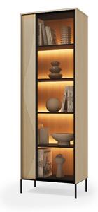 Könyvespolc Elinolo 107, Ajtókkal, Zárt, Üveg, Laminált forgácslap, 197x67x40cm, Tölgy, Fekete