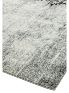Szürke szőnyeg 170x120 cm Nova - Asiatic Carpets