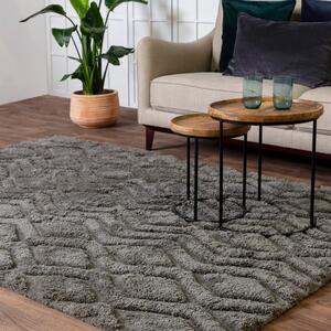 Szürke szőnyeg 170x120 cm Harrison - Asiatic Carpets