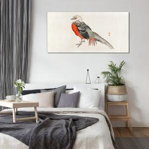 Üvegkép Modern állat madár