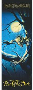 Plakát Iron Maiden - Fear of the Dark, (53 x 158 cm)