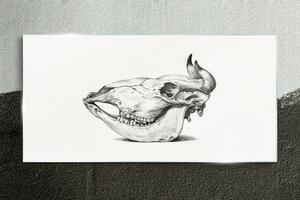 Üvegkép Rajz tehén koponya