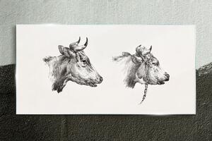 Üvegkép Az állati tehenek rajzolása
