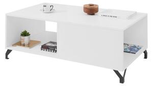 BERGENA dohányzóasztal, 120x43x65, fehér/magasfényű fehér