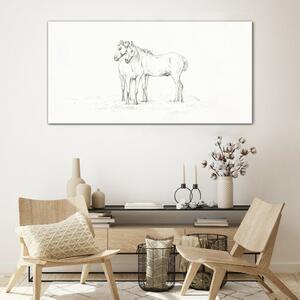 Üvegkép Egy ló állat rajzolása