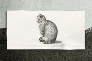 Üvegkép Rajz állat macska