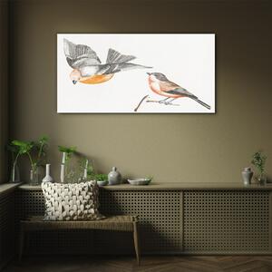Üvegkép Az állati madár ágának rajzolása
