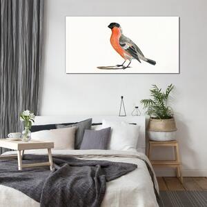 Üvegkép Állati madár rajzolása