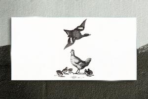 Üvegkép Rajz madarak állatok