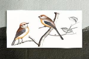 Üvegkép Az állati madár ágának rajzolása