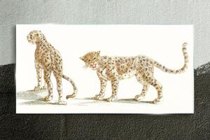 Üvegkép Állatok macskák Leopardi