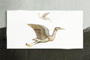 Üvegkép Rajz madarak állatok