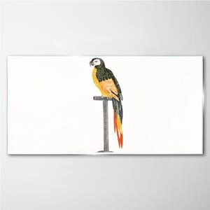Üvegkép Rajz állat madár papagáj