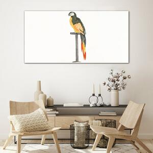 Üvegkép Rajz állat madár papagáj