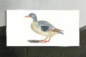 Üvegkép Állati madár rajzolása