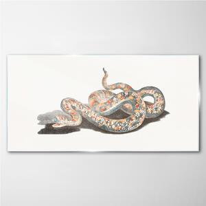 Üvegkép Kígyó