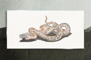 Üvegkép Kígyó