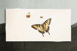 Üvegkép Modern hiba rovar pillangó