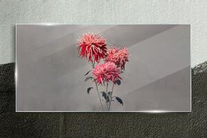 Üvegkép Növények virágai