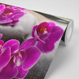 Fotótapéta csodás orchidea Zen kövekkel