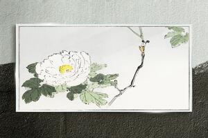 Üvegkép Ázsiai virágok ága