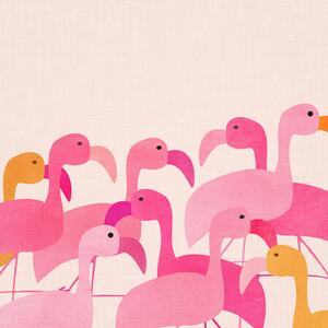 Illusztráció Flamingos, Kristian Gallagher