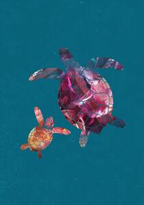 Illusztráció Colourful Turtles, Sarah Manovski