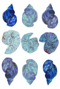 Illusztráció Blue Sea Shells, Poster cartissi