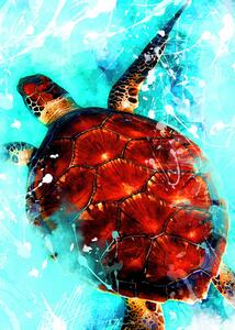 Illusztráció Tortoise animal art, Justyna Jaszke