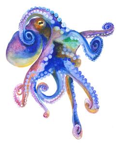 Illusztráció Blue Marine Octopuss, Isabelle Brent