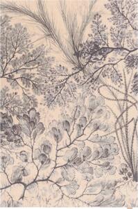 Mentazöld-bézs gyapjú szőnyeg 200x300 cm V&A Calisia Kelp – Agnella