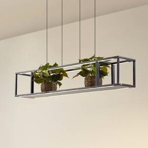 Lucande LED lógó világítás Estante, fekete, dimmelhető, dimmelhető, Fekete, Nappali / Étkező, fém, Modern