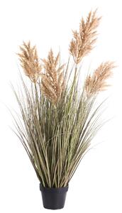 Műnövény MISCANTHUS GRASS 120 cm Barna
