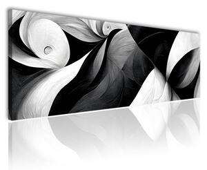 120x50 cm Fekete fehér íves formák vászonkép
