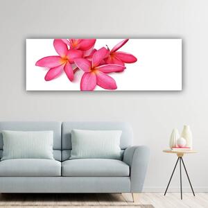 120x50 cm Gyönyörű rózsaszín szirmok vászonkép