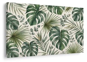 Kép zöld monstera levelek