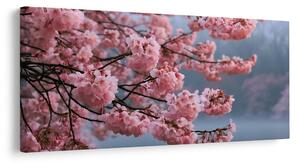Kép virágzó sakura nyugodt víz felett