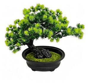 Sinsay - Dekoratív bonsai növény cserépben - zöld
