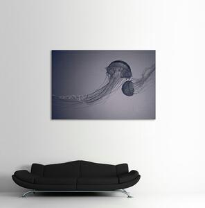 Jellyfish vászonkép, fekete kerettel, 130x195 cm