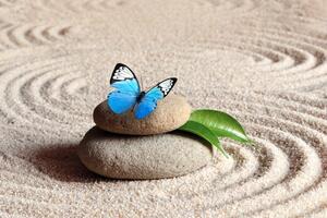 Fotótapéta kék pillangó a zen kövön