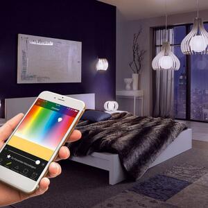 Okos dugalj (wifi) , EGLO , Connect , SMART Plug , 97936