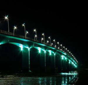 LED reflektor , 20 Watt , zöld fényű , fekete , kültéri , IP65