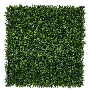 VERTICAL BUXUS zöldfal buxus levelekkel 1x1 m